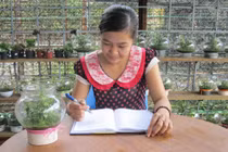 Bình cây sinh thái tiện dụng, siêu rẻ ở Việt Nam