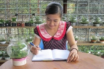 Bình cây sinh thái tiện dụng, siêu rẻ ở Việt Nam