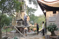 Vén màn bí mật “thần xà” nhập đòi cúng bò ở Hà Nội