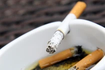 Số chất hóa học trong thuốc lá