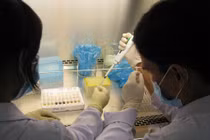 “Tận diệt” mầm mống virus heo tai xanh sau 4 giờ