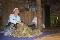 Bà lang với bài thuốc “cải tử hoàn sinh“