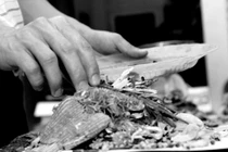 Dáng đẹp nhờ thuốc Nam