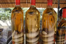 Rượu rắn nuôi có tốt bằng rắn tự nhiên?