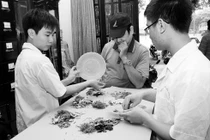 Những bài thuốc cực hay trị tiểu đường 