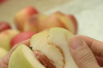 Lý giải hiện tượng quả bị sâu ăn ngọt hơn