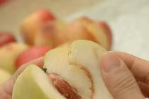 Lý giải hiện tượng quả bị sâu ăn ngọt hơn