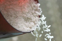 Phân biệt gạo giã nhỏ và gạo tấm 