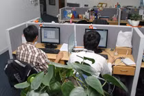 Những cây hấp thụ chất độc tốt cho văn phòng