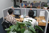 Những cây hấp thụ chất độc tốt cho văn phòng