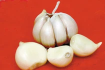 Ăn tỏi ngừa ung thư đại trực tràng