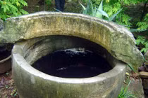 Bảo vật 'độc địa’ của gia đình phố cổ Hà Thành