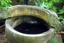 Bảo vật 'độc địa’ của gia đình phố cổ Hà Thành