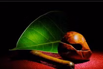 Ta tu từ những thị phi cuộc đời...