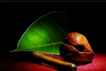 Ta tu từ những thị phi cuộc đời...