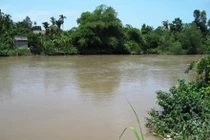 Nghệ sĩ ưu tú Kim Tử Long bị bắt trên chiếu bạc