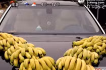 Ngã ngửa xem xe cưới trang trí bằng... 10 nải chuối