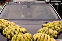 Ngã ngửa xem xe cưới trang trí bằng... 10 nải chuối