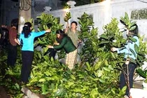 Không phải hái lộc to, phúc lớn mới về