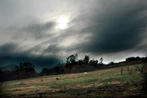 Con người dự đoán được giông tố?