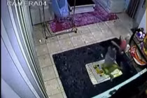 Clip bảo mẫu quăng quật bé 4 tháng tuổi