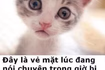 Chết cười với ảnh chế học đường