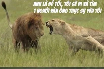 Khi động vật tỏ ra “nguy hiểm” (3)