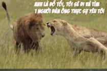 Khi động vật tỏ ra “nguy hiểm” (3)