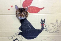 Mèo “ngầu” với phong cách cosplay