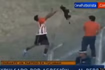 Clip “cầu thủ ném chó qua hàng rào” gây phẫn nộ