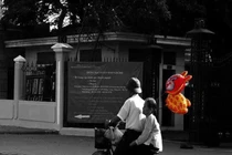 Tình già lãng mạn khiến dân mạng cảm phục