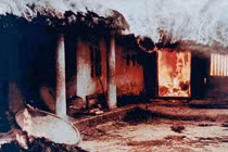 Những hình ảnh quặn lòng về thảm sát Mỹ Lai 