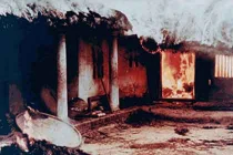 Những hình ảnh quặn lòng về thảm sát Mỹ Lai 