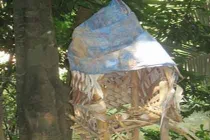 Bí ẩn rừng ma và tục cõng xác chết độc nhất VN