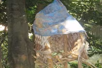 Bí ẩn rừng ma và tục cõng xác chết độc nhất VN