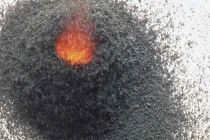 Hành trình tìm kiếm sự bất tử của loài người 