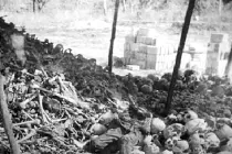 Nhìn lại “cánh đồng xác chết” trong vụ thảm sát Ba Chúc