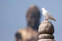 “Không ai trong chúng ta biết khi nào mình chết“