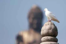 “Không ai trong chúng ta biết khi nào mình chết“