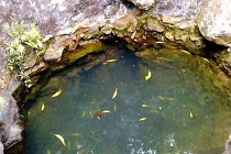 Huyền thoại về giếng cổ đào trúng long mạch