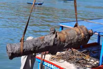 Phát hiện thêm súng thần công tại đầm Thị Nại