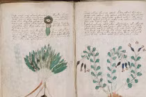 Cuốn sách bí ẩn nhất thế giới không phải trò bịp? 