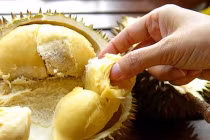  Sầu riêng+rượu=chết?