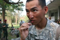 Xem lính Mỹ nhai bọ cạp, uống máu rắn