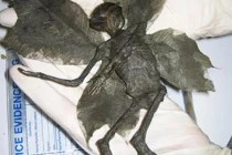 Những vụ “ăn quả lừa” vì “người ngoài hành tinh“