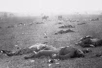 Tang thương trận chiến Gettysburg 150 năm trước