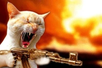 10 thứ bình thường trở thành vũ khí khủng khiếp