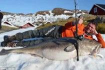 Cần thủ câu được cá tuyết nặng nhất thế giới