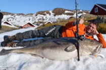 Cần thủ câu được cá tuyết nặng nhất thế giới