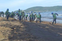 Dầu loang biển Quy Nhơn khiến ngư dân “khóc ròng“